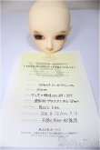 画像6: SD女の子/ローゼ　ワンオフヘッド：aone様 A-25-10-15-379-NY-ZA (6)