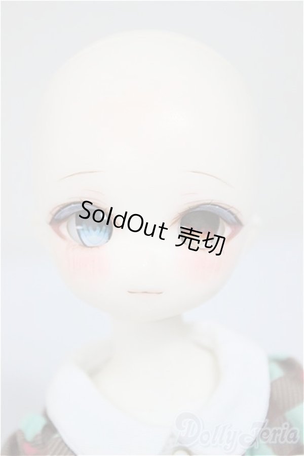 画像2: TinyFox/X01ｓカスタムヘッド・旧ボディ A-25-10-15-350-NY-ZA (2)