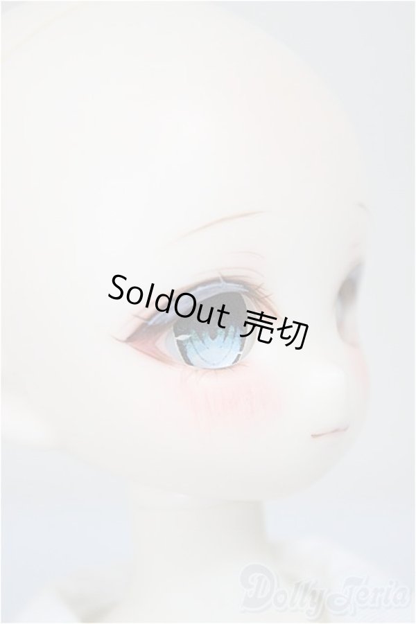 画像3: TinyFox/X01ｓカスタムヘッド・旧ボディ A-25-10-15-350-NY-ZA (3)