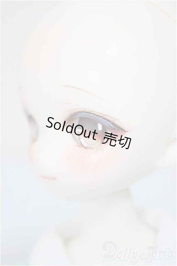 画像4: TinyFox/X01ｓカスタムヘッド・旧ボディ A-25-10-15-350-NY-ZA (4)