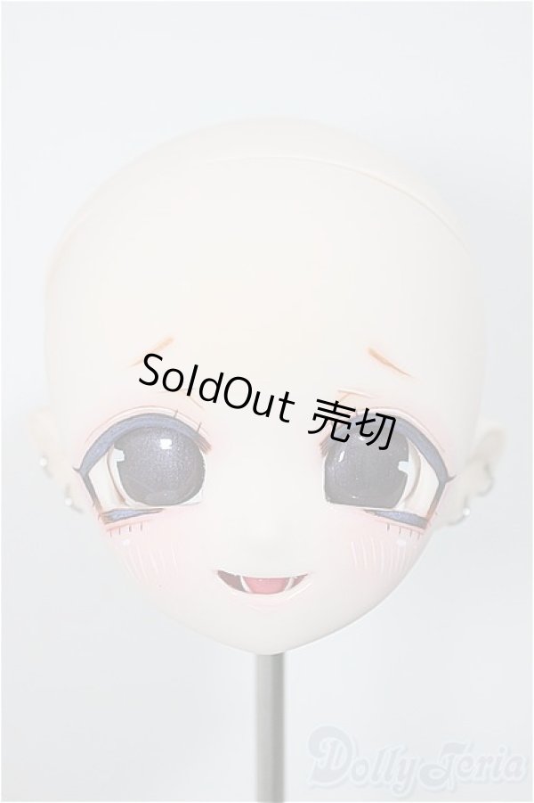 画像1: パラボックス/PB45-01　ヘッド A-25-10-15-373-NY-ZA (1)