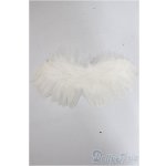 画像: SDM&MSD/OF:小物 A-25-10-15-261-NY-ZA