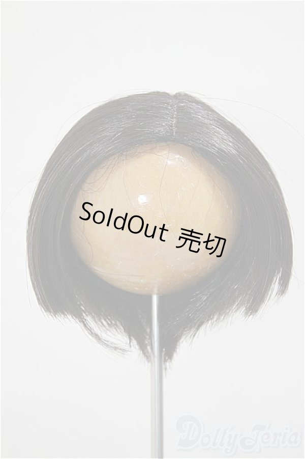 画像1: 8-9inch/ウィッグ A-25-10-15-255-NY-ZA (1)