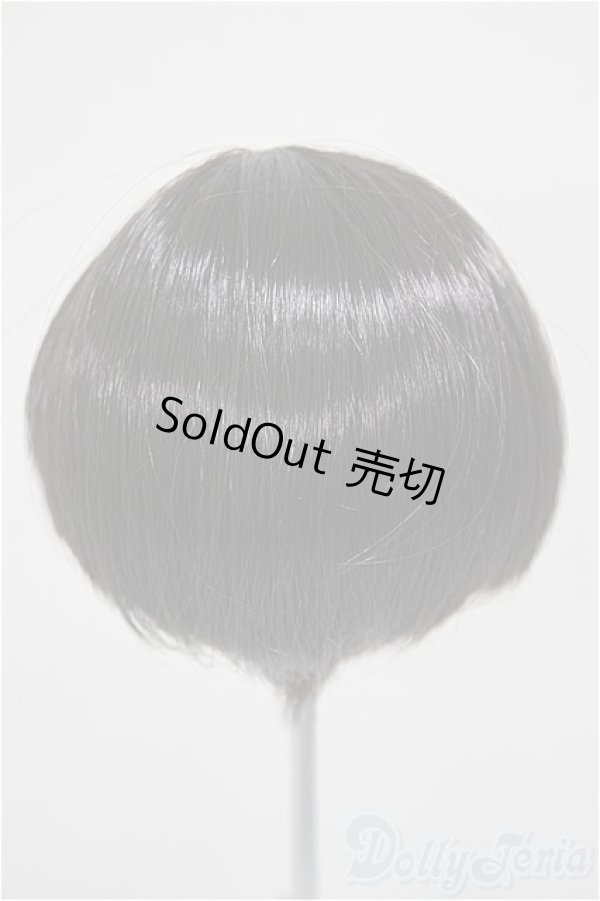 画像2: 8-9inch/ウィッグ A-25-10-15-255-NY-ZA (2)