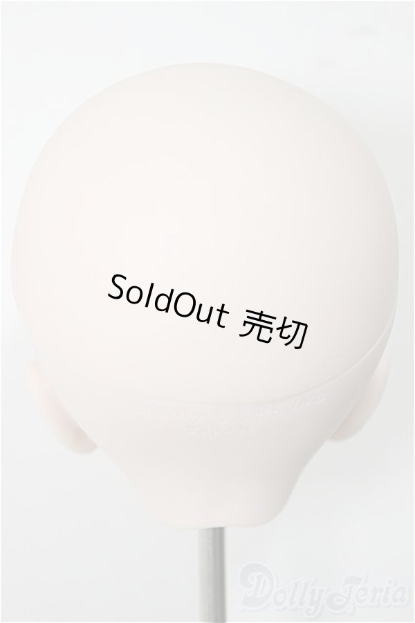 画像2: DD/DDH-27ヘッド A-25-10-15-384-NY-ZA (2)