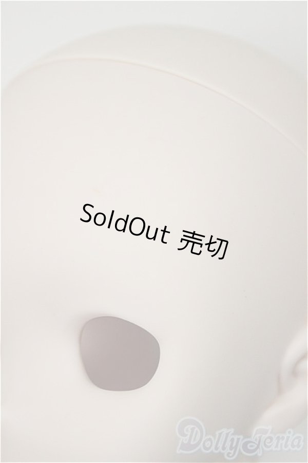 画像3: DD/DDH-27ヘッド A-25-10-15-384-NY-ZA (3)