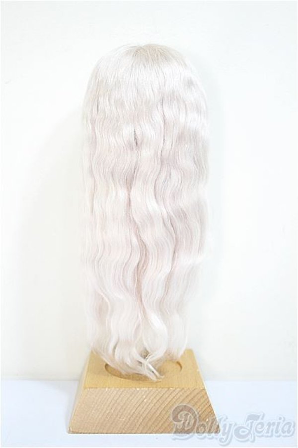 画像2: 8.5-9inch/ウィッグ/インチ　BJD　MJD　ドール用 A-25-10-22-203-NY-ZA (2)