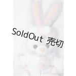 画像: ステラルー/ぬいぐるみバッジ/トゥインクルウインター A-25-10-15-391-NY-ZA