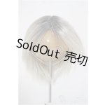 画像: 9-10inch/ウィッグ/インチ　BJD　MJD　ドール用 A-25-10-22-151-NY-ZA