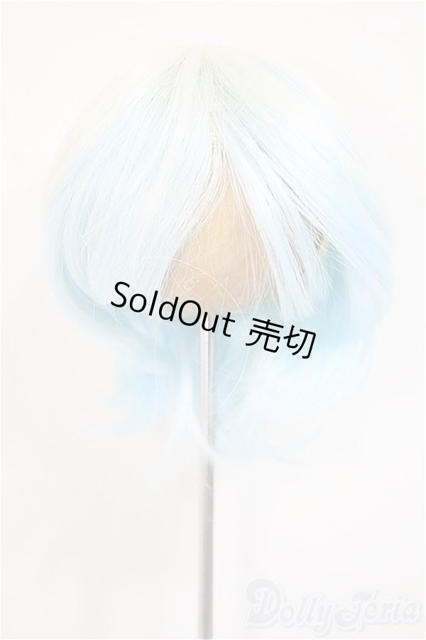 画像1: 8-9inch/ウィッグ/インチ　BJD　MJD　ドール用 A-25-10-22-208-NY-ZA (1)