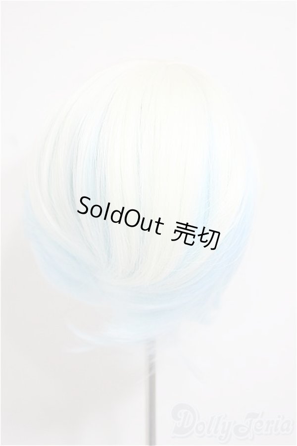 画像2: 8-9inch/ウィッグ/インチ　BJD　MJD　ドール用 A-25-10-22-208-NY-ZA (2)