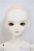 画像1: BLUE FAIRY/TF Emilie　男の子/BJD　球体関節人形 A-25-10-29-102-NY-ZA (1)