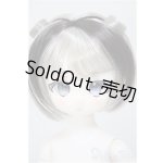 画像: TinyFOX/Fluffy/BJD　球体関節人形 A-25-10-29-105-NY-ZA