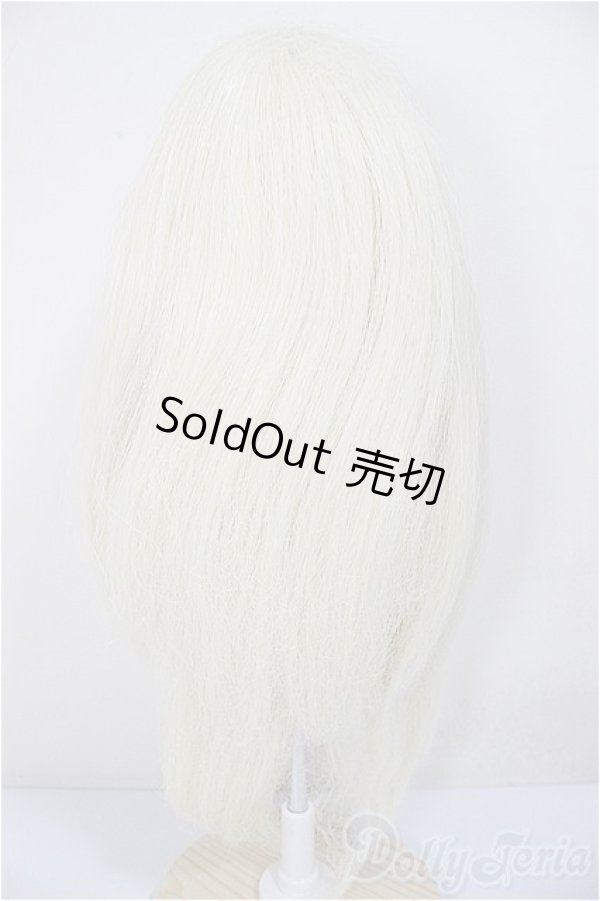 画像2: 9inch/ウィッグ/インチ　BJD　MJD　ドール用 A-25-10-29-169-NY-ZA (2)