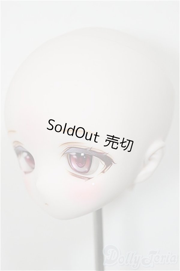 画像3: DDH-01/カスタムヘッド/BJD　球体関節人形 A-25-10-29-189-NY-ZA (3)
