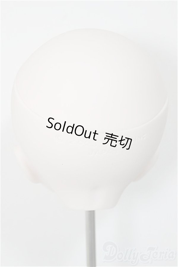 画像4: DDH-01/カスタムヘッド/BJD　球体関節人形 A-25-10-29-189-NY-ZA (4)