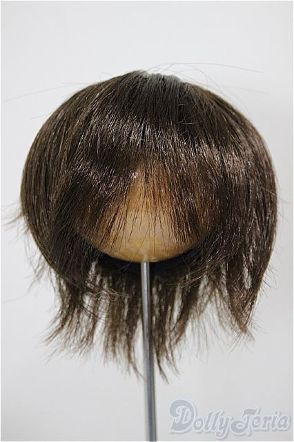 画像1: 8-9inch/ウィッグ/インチ　BJD　MJD　ドール用 A-25-10-29-204-NY-ZA (1)