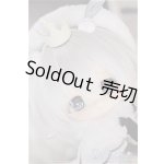 画像: PICCODO ACTION DOLL X 白匣アリス デフォルメドール 灰葉[GENESIS]/ A-25-10-29-252-NY-ZA