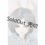 画像: elfin store EnS /ノアs/ A-25-11-05-124-NY-ZA