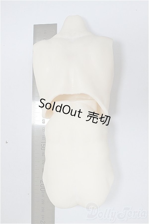画像2: DDB/ディーラー様製ボディーパーツ/BJD　球体関節人形 A-25-11-05-109-NY-ZA (2)