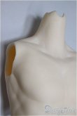 画像4: DDB/ディーラー様製ボディーパーツ/BJD　球体関節人形 A-25-11-05-109-NY-ZA (4)