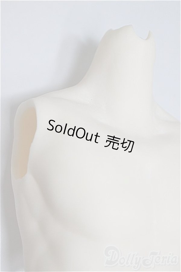 画像4: DDB/ディーラー様製ボディーパーツ/BJD　球体関節人形 A-25-11-05-109-NY-ZA (4)