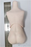 画像2: MDDサイズ/上半身・下半身ディーラー様製/BJD　球体関節人形 A-25-11-05-111-NY-ZA (2)