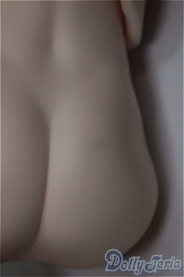 画像3: MDDサイズ/上半身・下半身ディーラー様製/BJD　球体関節人形 A-25-11-05-111-NY-ZA (3)