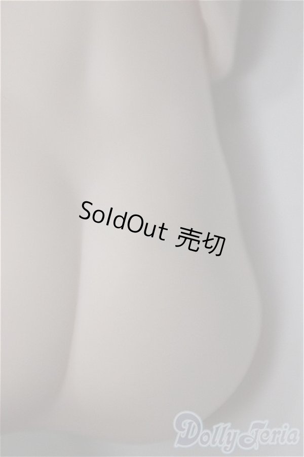 画像3: MDDサイズ/上半身・下半身ディーラー様製/BJD　球体関節人形 A-25-11-05-111-NY-ZA (3)