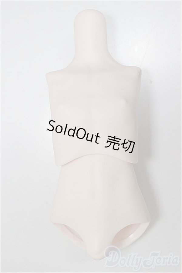 画像1: MDDサイズ/上半身・下半身ディーラー様製/BJD　球体関節人形 A-25-11-05-110-NY-ZA (1)