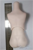 画像2: MDDサイズ/上半身・下半身ディーラー様製/BJD　球体関節人形 A-25-11-05-110-NY-ZA (2)