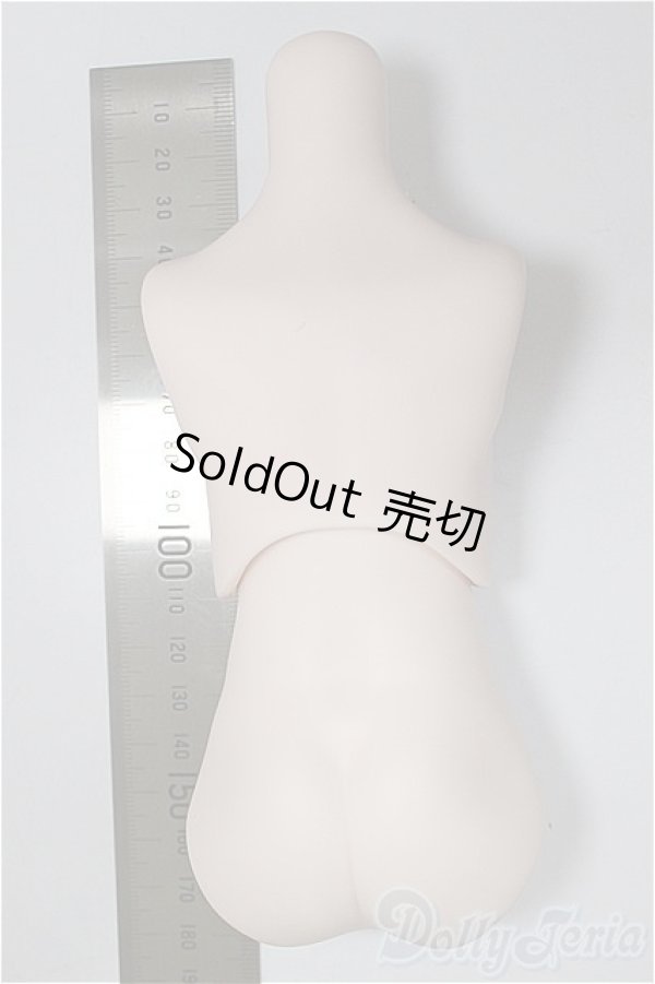 画像2: MDDサイズ/上半身・下半身ディーラー様製/BJD　球体関節人形 A-25-11-05-110-NY-ZA (2)