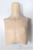 画像1: MDDサイズ/上半身パーツ/BJD　球体関節人形 A-25-11-05-118-NY-ZA (1)