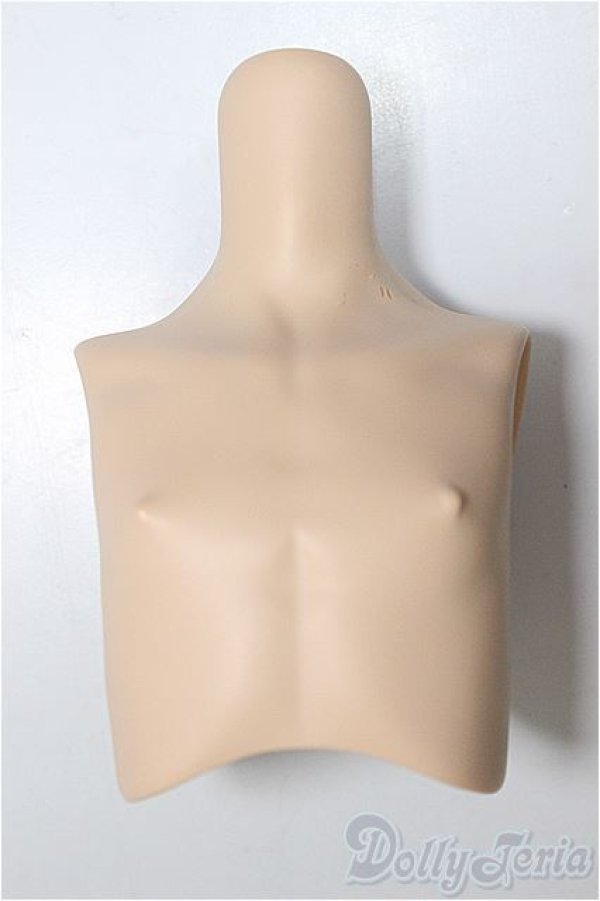 画像1: MDDサイズ/上半身パーツ/BJD　球体関節人形 A-25-11-05-119-NY-ZA (1)