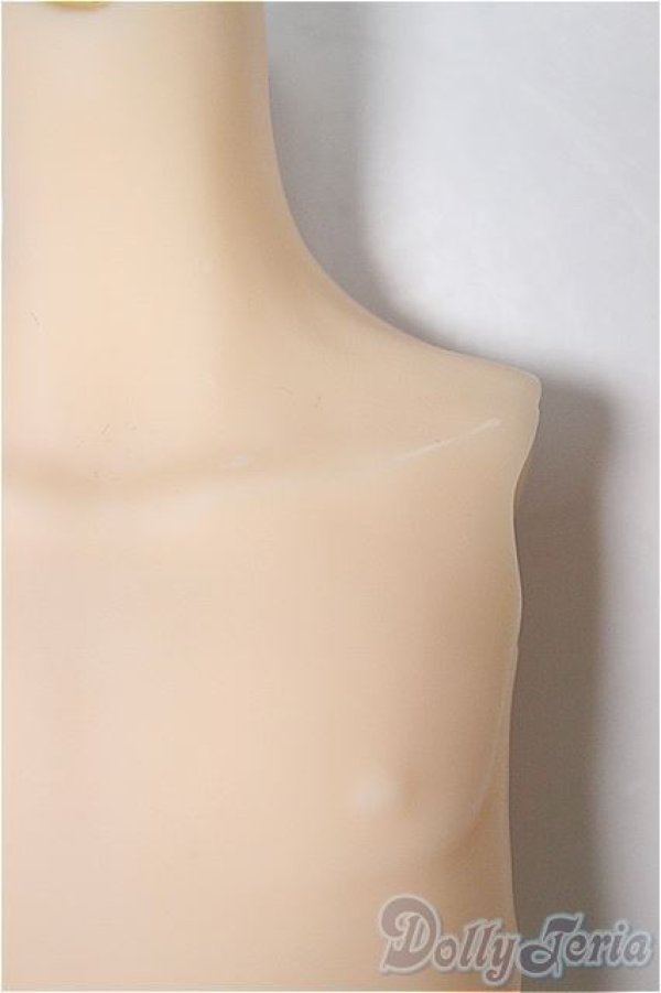 画像3: MDDサイズ/上半身パーツ/BJD　球体関節人形 A-25-11-05-120-NY-ZA (3)