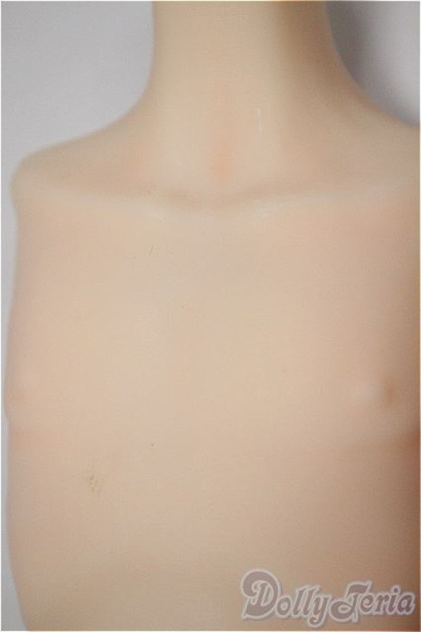 画像4: MDDサイズ/上半身パーツ/BJD　球体関節人形 A-25-11-05-121-NY-ZA (4)