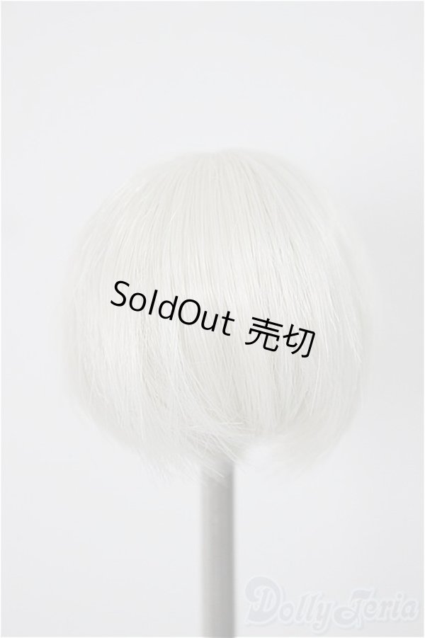 画像2: 4inch/ウィッグ/インチ　BJD　MJD　ドール用 A-25-11-05-123-NY-ZA (2)