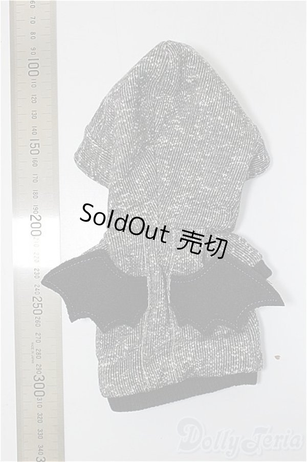 画像2: MDD/OF:パーカー/0 A-25-11-05-159-NY-ZA (2)