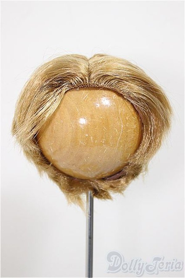 画像1: 8-9inch/ウィッグ/インチ　BJD　MJD　ドール用 A-25-11-05-176-NY-ZA (1)