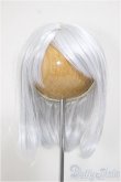 画像1: 8-9inch/ウィッグ/インチ　BJD　MJD　ドール用 A-25-11-05-181-NY-ZA (1)