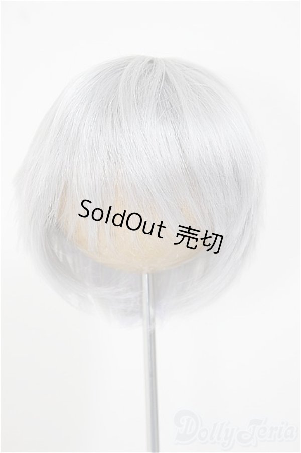 画像1: 8-9inch/ウィッグ/インチ　BJD　MJD　ドール用 A-25-11-05-178-NY-ZA (1)