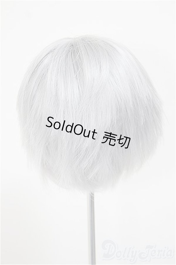 画像2: 8-9inch/ウィッグ/インチ　BJD　MJD　ドール用 A-25-11-05-178-NY-ZA (2)