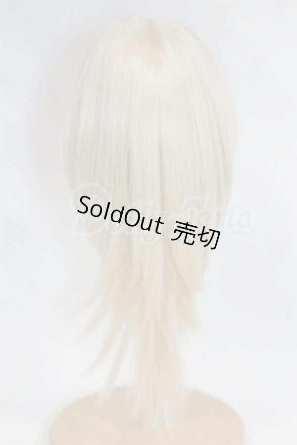 画像2: 8-9inch/ウィッグ/インチ　BJD　MJD　ドール用 A-26-03-04-032-NY-ZA (2)