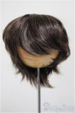 画像1: 8-9inch/ウィッグ/インチ　BJD　MJD　ドール用 A-25-11-05-185-NY-ZA (1)