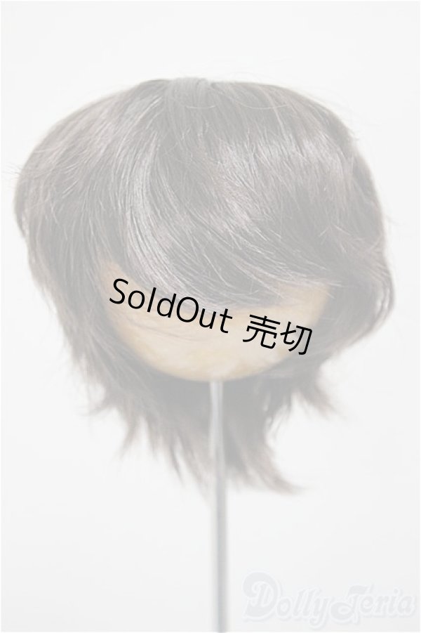 画像1: 8-9inch/ウィッグ/インチ　BJD　MJD　ドール用 A-25-11-05-185-NY-ZA (1)