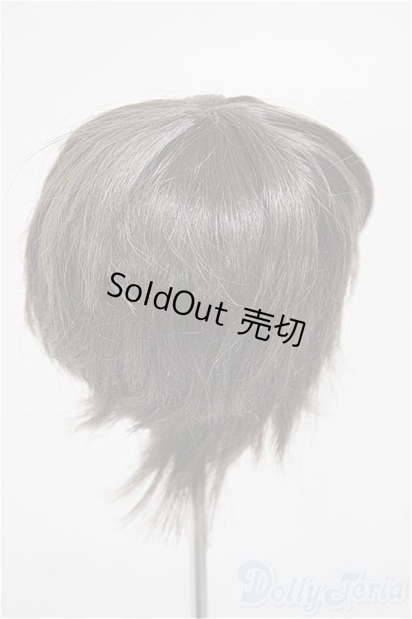 画像2: 8-9inch/ウィッグ/インチ　BJD　MJD　ドール用 A-25-11-05-185-NY-ZA (2)