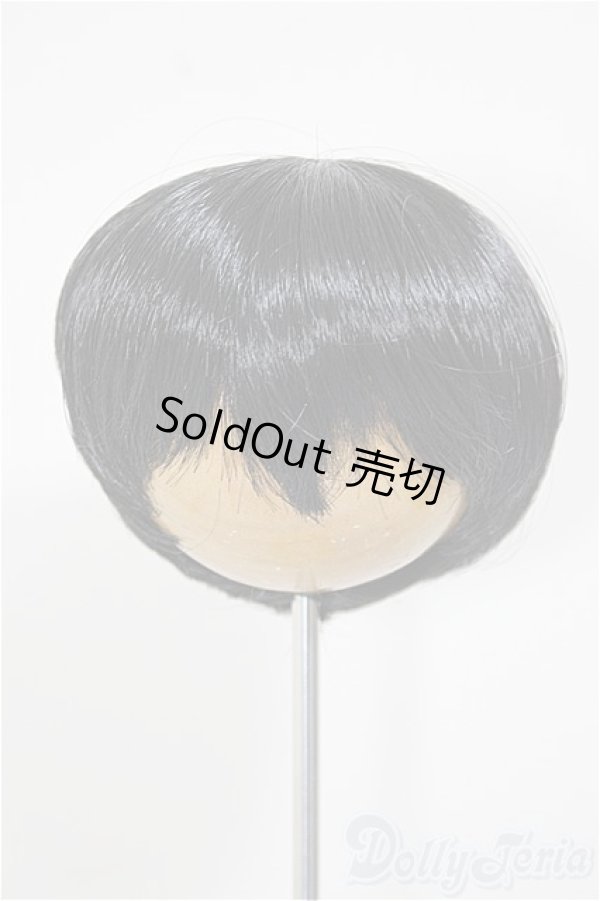 画像1: 8-9inch/ウィッグ/インチ　BJD　MJD　ドール用 A-25-11-05-182-NY-ZA (1)