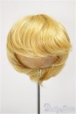 画像1: 8-9inch/ウィッグ/インチ　BJD　MJD　ドール用 A-25-11-05-169-NY-ZA (1)