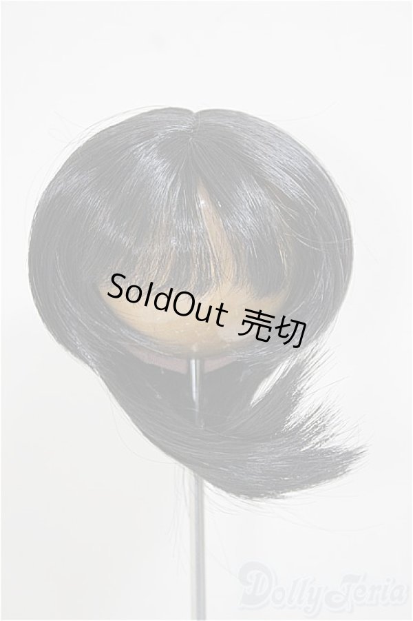 画像1: 8.5-9inch/ウィッグ/インチ　BJD　MJD　ドール用 A-25-11-05-186-NY-ZA (1)