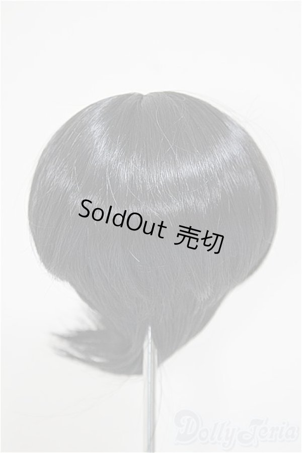 画像2: 8.5-9inch/ウィッグ/インチ　BJD　MJD　ドール用 A-25-11-05-186-NY-ZA (2)